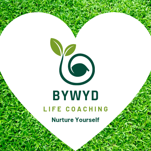 Bywyd Life Coaching Heart Logo